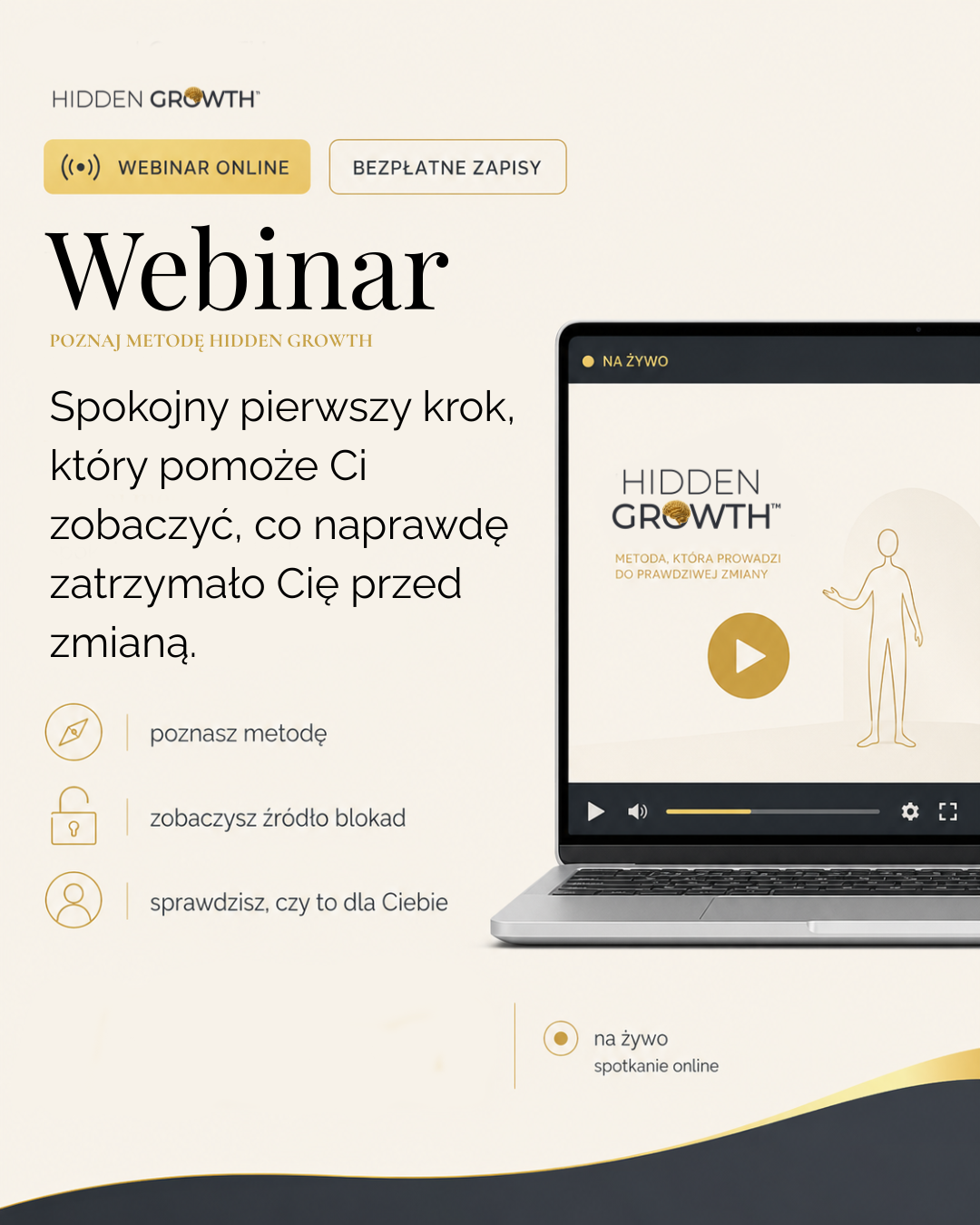 Webinar wprowadzający Hidden Growth